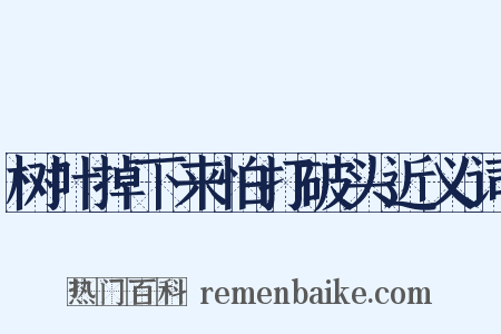 树叶掉下来怕打破头近义词是什么意思的图片